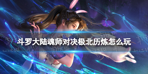 网1