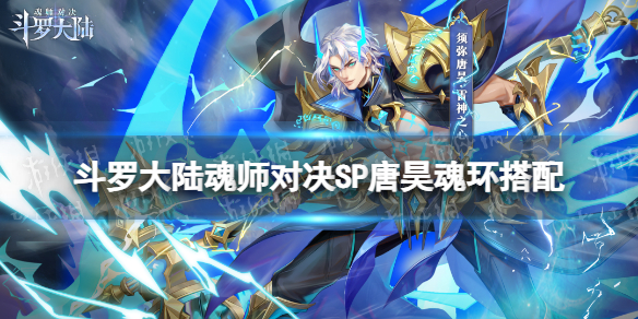 斗罗大陆魂师对决SP唐昊魂环搭配